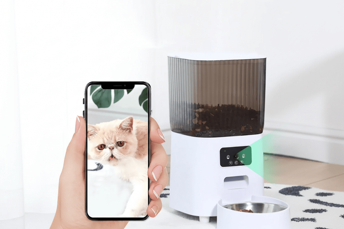 How a Smart Pet Feeder with Camera & WiFi Gives You Total Peace of Mind - ★ Feed & Flow Shop ★