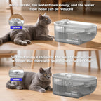 Feed&Flow™ PureStream Wireless Pet Fountain - 2L, Ultra-Quiet Filter